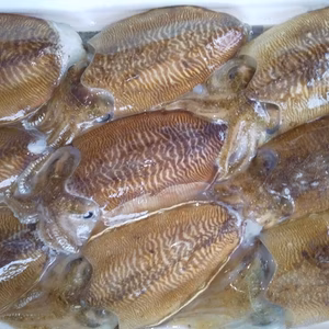 関門海峡産★関門海峡たこ500g＆甲いか（身・下足）1㎏お刺身で♪