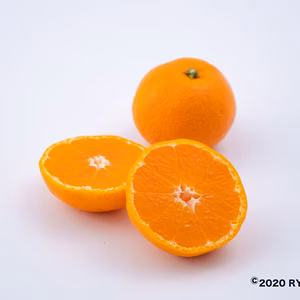 【期間限定】宮崎県産・甘くとろける農園自慢の「みつばちみかん」