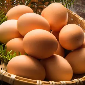 【有精卵】タマゴソムリエの放し飼い自然卵３０個