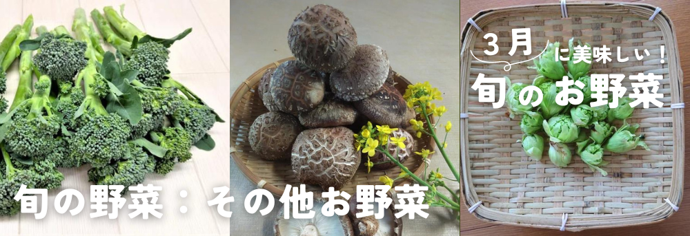 旬のお野菜