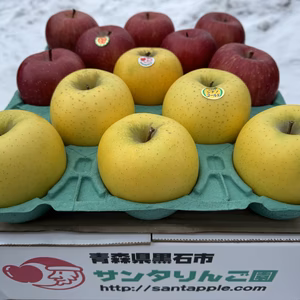 蔵出し春りんご　青森県産サンふじ＆シナノゴールド　贈答用3～5キロ　農家直送