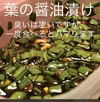 【送料込み】朝どれ　新鮮　葉ニンニク 1.2キロ