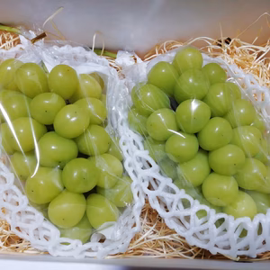 【大人気】シャインマスカット数量限定