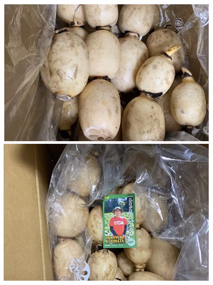 みんなの投稿の画像