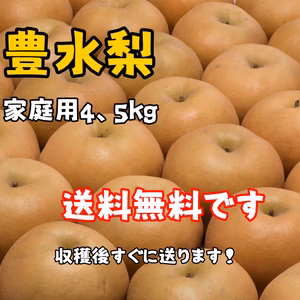 【初出品】　家庭用　豊水梨4.5㎏