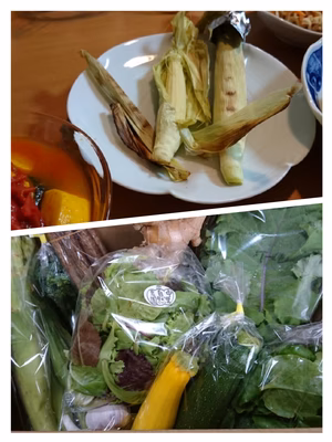 みんなの投稿の画像