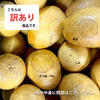 ＼幻のかんきつ／超希少！弓削剽悍（ゆげひょうかん）訳あり2kg