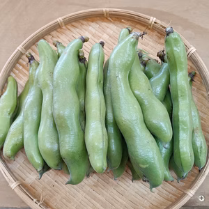 kijimamaさま専用そら豆、にんにくセット