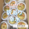 【たくさん食べたい！】石川県産「加賀梨」サイズいろいろ！訳あり幸水