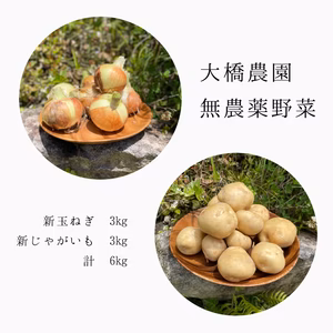 【無農薬】新じゃがいも(男爵) 3㎏/新玉ねぎ 3㎏