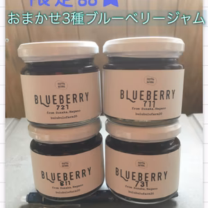 果実が残る！ブルーベリージャム3種　　完売