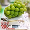 贈答用＊大粒シャインマスカット1房◎900g＊7月下旬～【ポケマルの夏ギフト】
