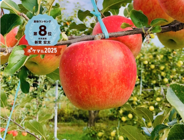 【予約】甘さたっぷり‼️りんご(シナノスイート) 良品　数量限定