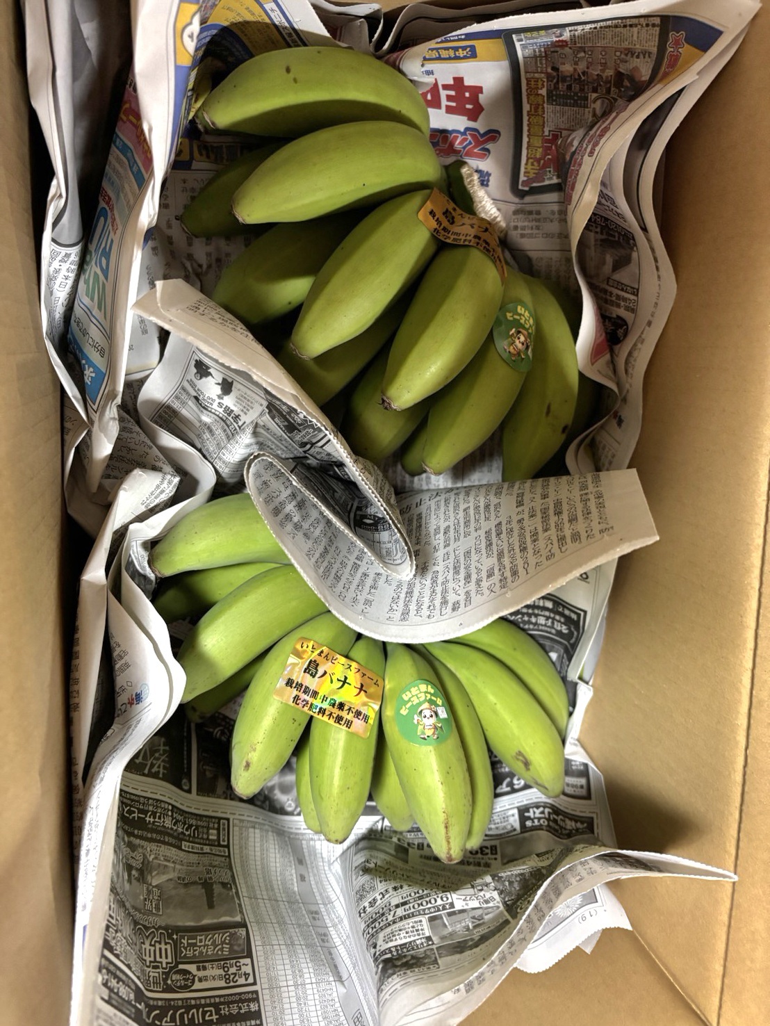 島バナナ｜バナナの商品詳細｜ポケットマルシェ｜産地直送で旬の食材が