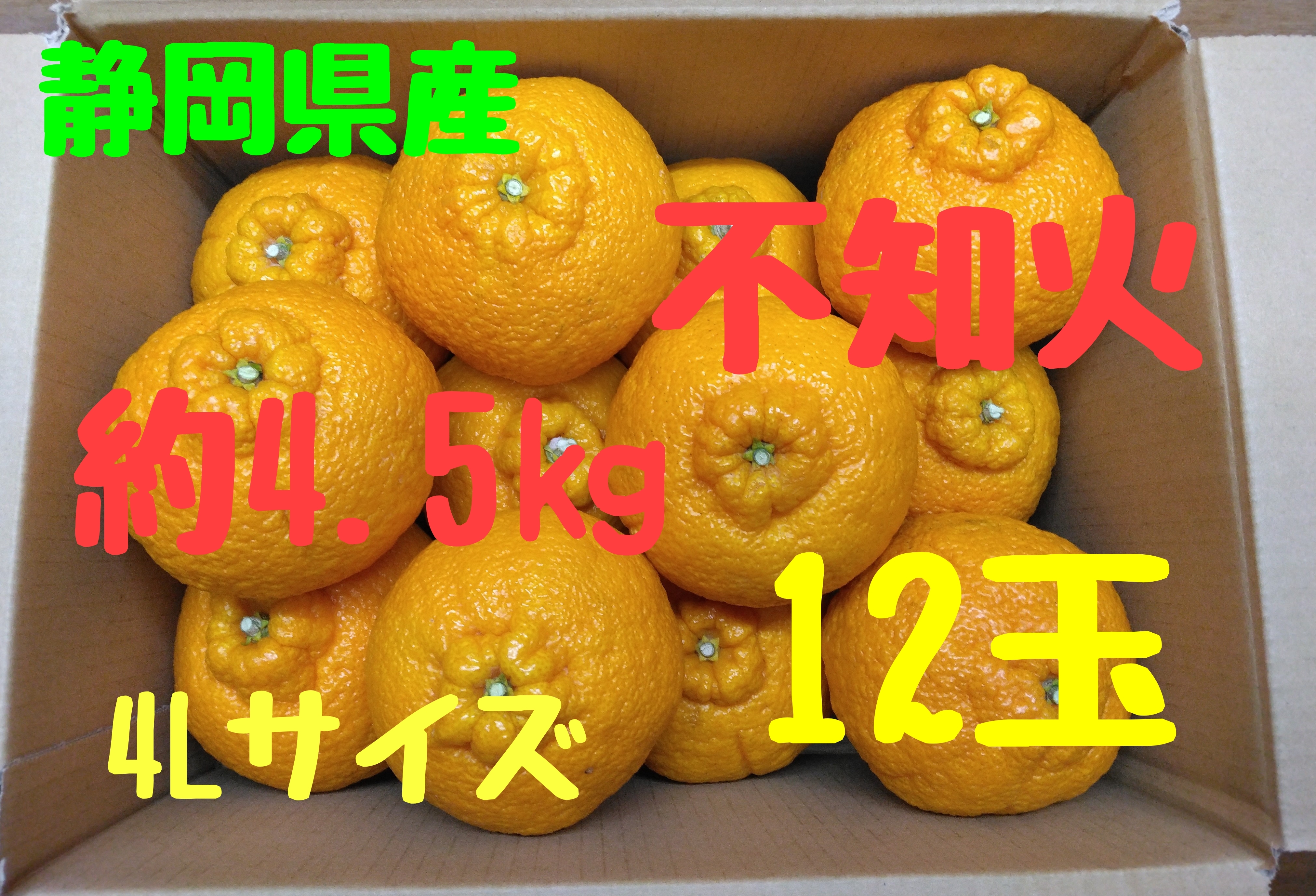 生産者直送天草晩柑10kg農薬・化学肥料不使用❣️ - 果物