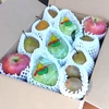 冬のよくばりセット【レクチェ・ウインターネリス・ふじ・キウイ】お歳暮にぴったり!