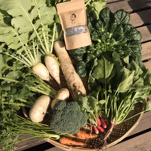 森の香る野菜ボックス（季節の野菜とおすすめハーブティ）のセット