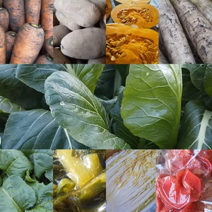 無農薬無化学肥料 信州伊那谷★厳冬期野菜セット 1/21発送