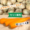 安心安全！甘〜い玉ねぎ&人参セット　大阪府堺産