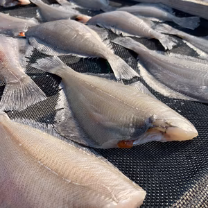 ふんわりホクホク♫天日干しムシカレイの干物