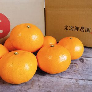 R様専用【化学農薬不使用】小豆島産せとか5kg×2