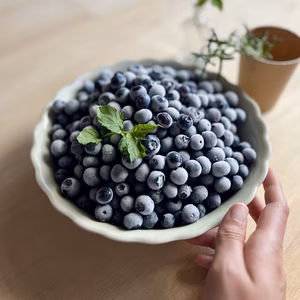 信州からお届け!【完熟】【農薬不使用】冷凍ブルーベリー