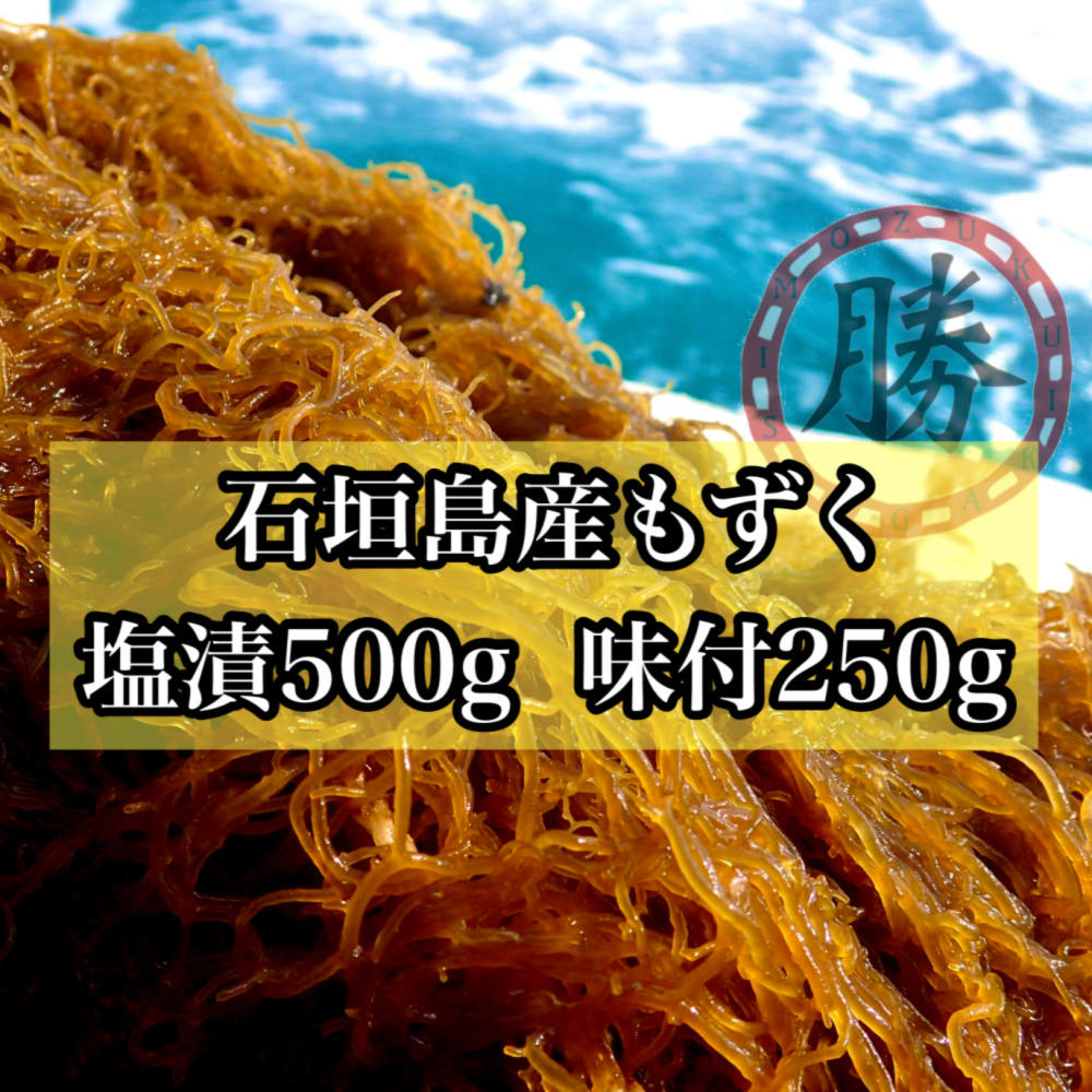 沖縄県石垣島産もずくお試しセット【味付けもずく250ｇ・塩漬け500g