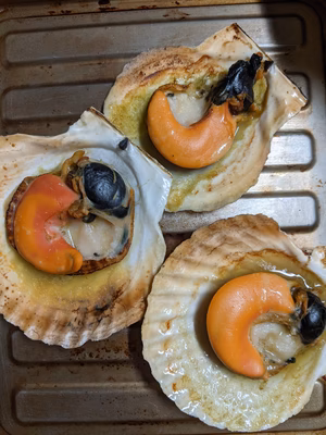 みんなの投稿の画像