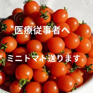 【医療従事者へミニトマトの支援品】