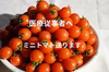 【医療従事者へミニトマトの支援品】