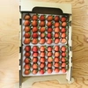 北海道産完熟夏イチゴ1箱30玉トレー×2