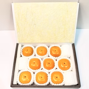 TVで話題‼︎ 岐阜県産　Farm m&aのベビーパーシモン　ちょっとした贈り物