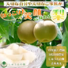 【限定！訳あり！お買い得品！】口の中に果汁がジュワ～♪とこぼれる豊水梨