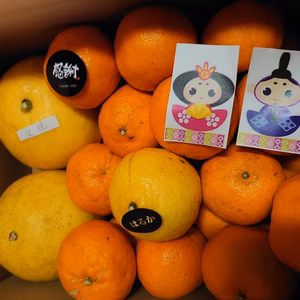 【完売しました!!】【お買い得!!】お楽しみひな祭りセット