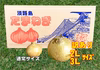 【訳あり】特大サイズ（2L・3L）淡路島産　新玉ねぎ　10kg