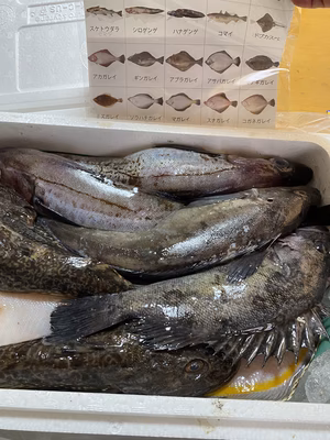 みんなの投稿の画像