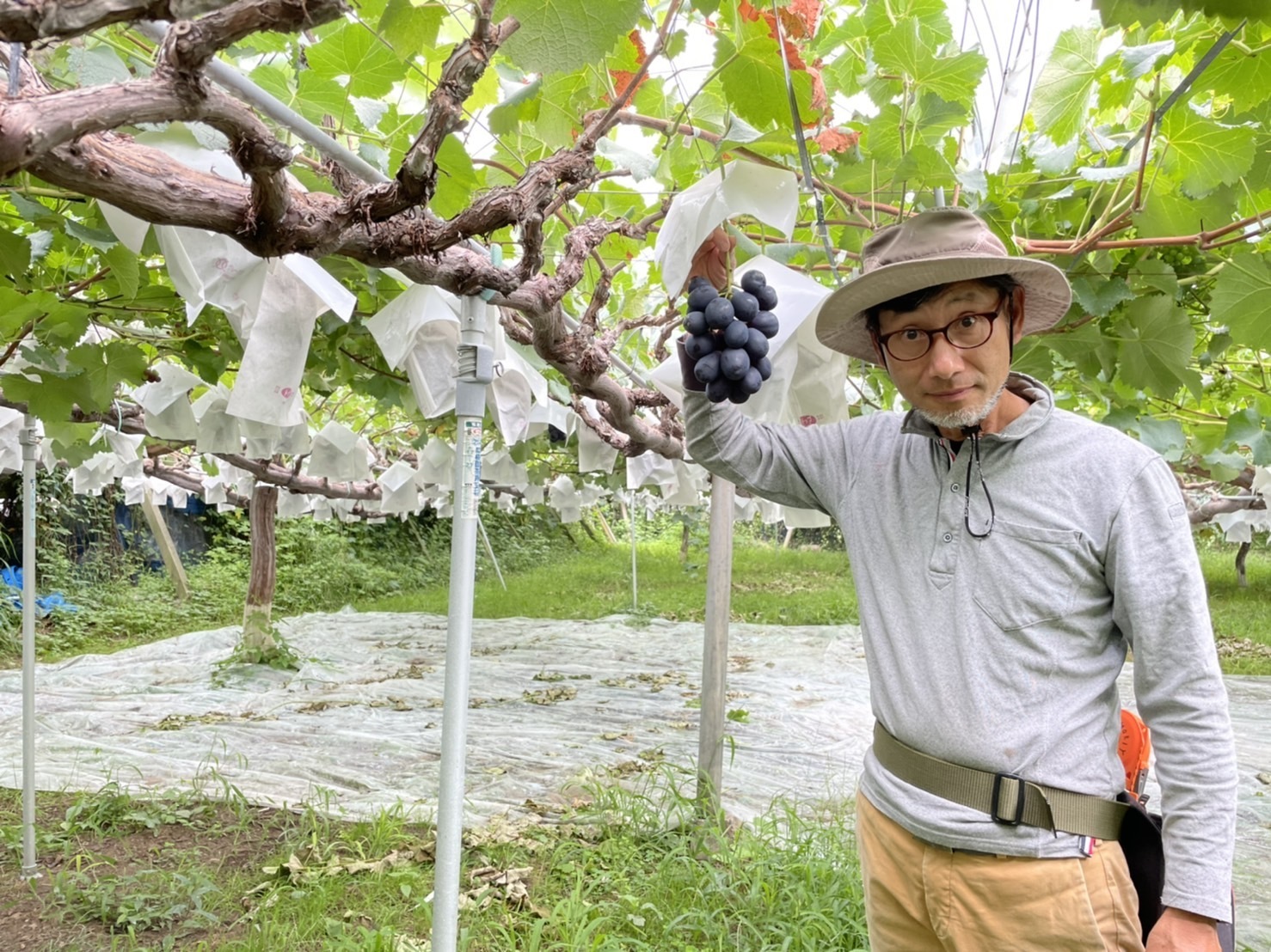 長野県上田市｜森山ぶどうファーム｜森山博尊さんの生産者プロフィール