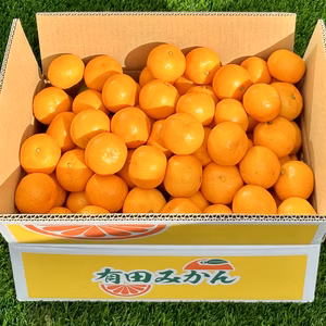 【ふるさと納税対応】2022年和歌山県産 完熟早生有田みかん(箱込約5kg)