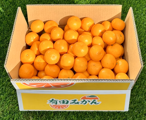 【ふるさと納税対応】2022年和歌山県産 完熟早生有田みかん(箱込約5kg)