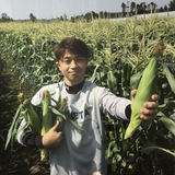 岩下香織