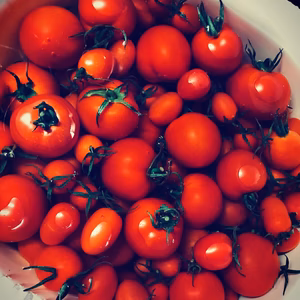 フルティカ/3キロ程