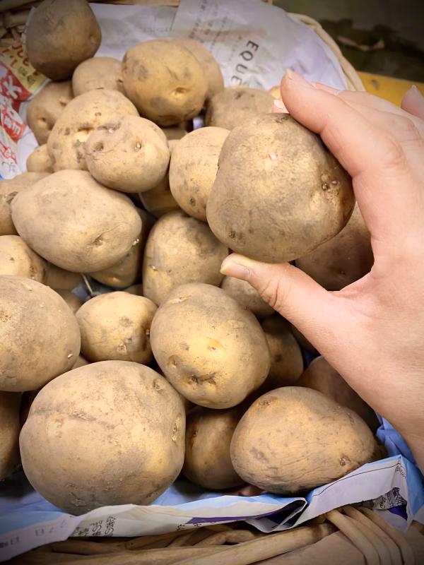 小さめキタアカリ5キロ⭐︎農薬化学肥料不使用