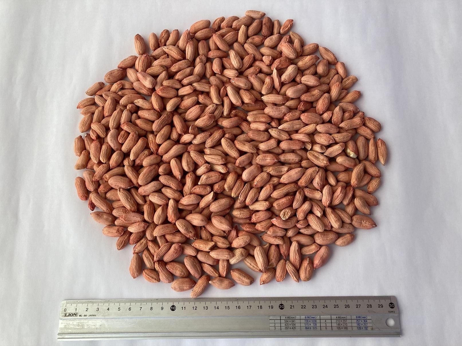 おおまさりの産直通販・お取り寄せ商品｜ポケットマルシェ｜産地直送で