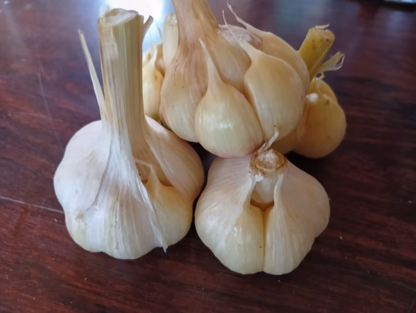 皮の割れたニンニク