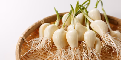 昼間のサラリーマンも気兼ねなく食べられる「はねにんにく」って？ #ポケマルスタッフのこれ買いました