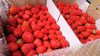 ジャム用(加工用)いちご 約1.5kg