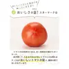 【10/25 取りに来る出品専用】ハウス桃太郎トマト 取りに来る限定価格