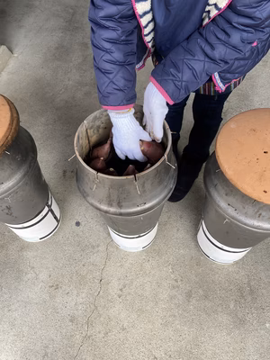 みんなの投稿の画像