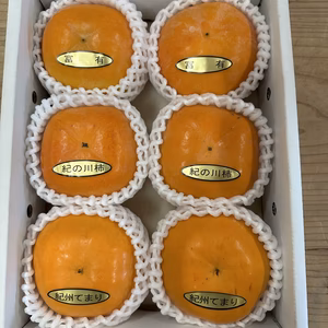 柿３品種食べ比べ　6個（紀ノ川柿、富有柿、紀州てまり）自家用