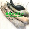 昔ながらのかぼちゃを食べよう！鶴首かぼちゃ【農薬不使用】